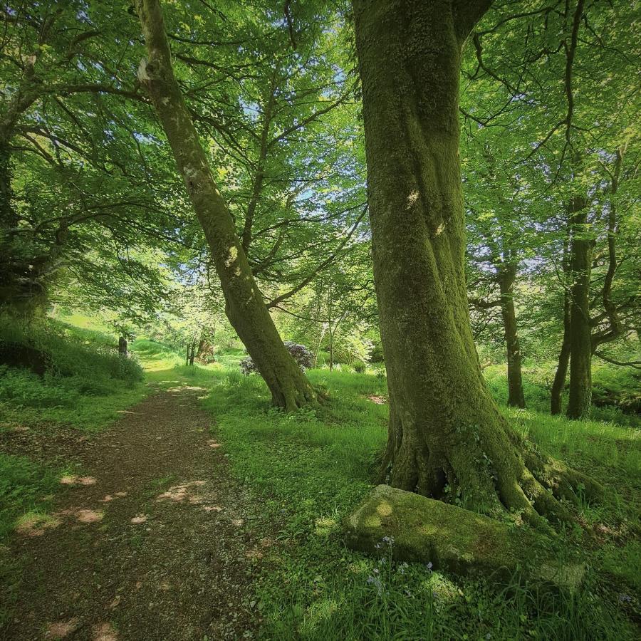 Ta Mill Holiday Cottages & Lodges -Ta Mill House ローンソン エクステリア 写真