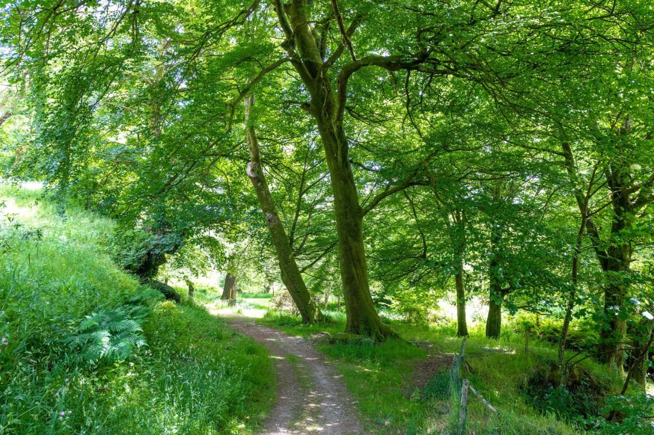 Ta Mill Holiday Cottages & Lodges -Ta Mill House ローンソン エクステリア 写真