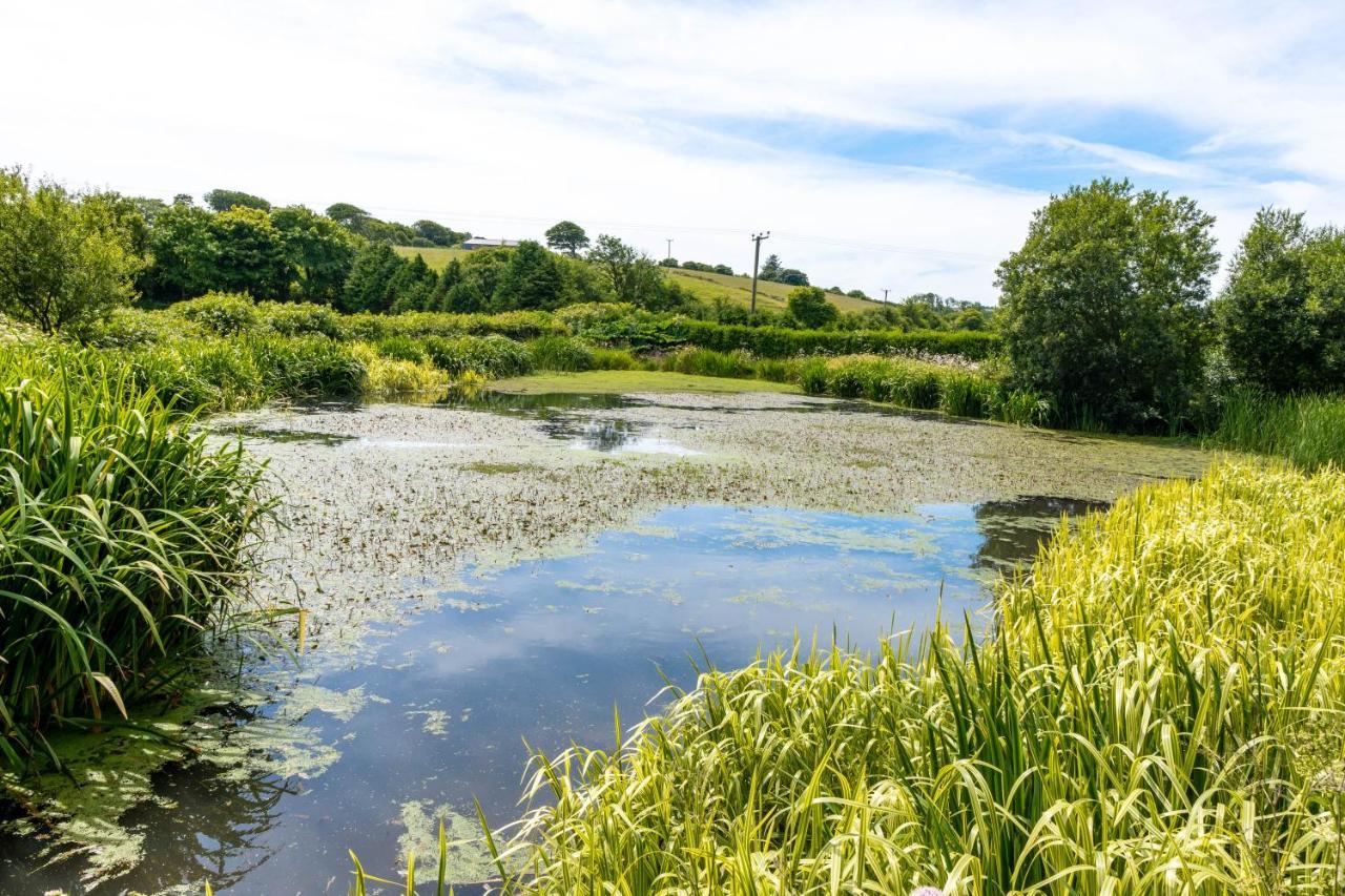 Ta Mill Holiday Cottages & Lodges -Ta Mill House ローンソン エクステリア 写真