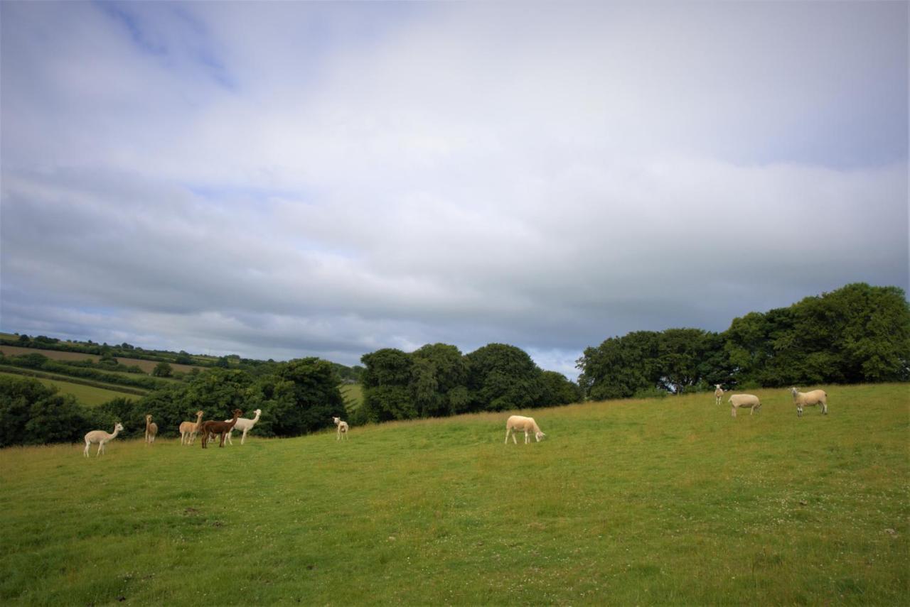 Ta Mill Holiday Cottages & Lodges -Ta Mill House ローンソン エクステリア 写真